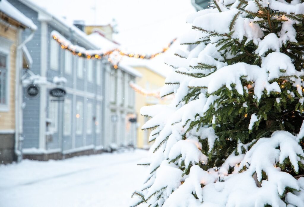 Joulun lahjavinkit pizzanpaistajalle kätevästi verkkokaupasta.