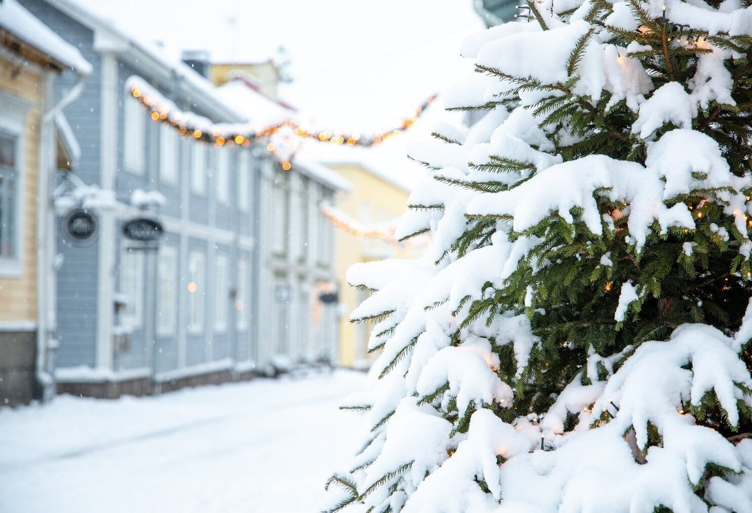 Joulun lahjavinkit pizzanpaistajalle kätevästi verkkokaupasta.